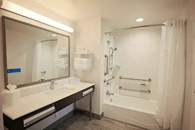 غرفة بسريرين كوين لذوي الإعاقة، Hampton Inn & Suites Asheville Biltmore Area, NC 3/3