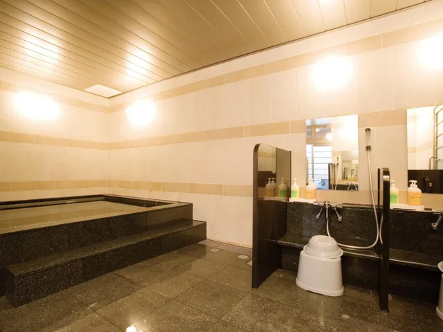 Deluxe, Single, AB Hotel Mikawa Anjo Honkan 3/3