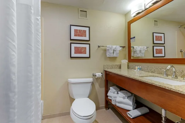 جناح بسرير كينج مع أريكة، Comfort Suites Fredericksburg South 4/4