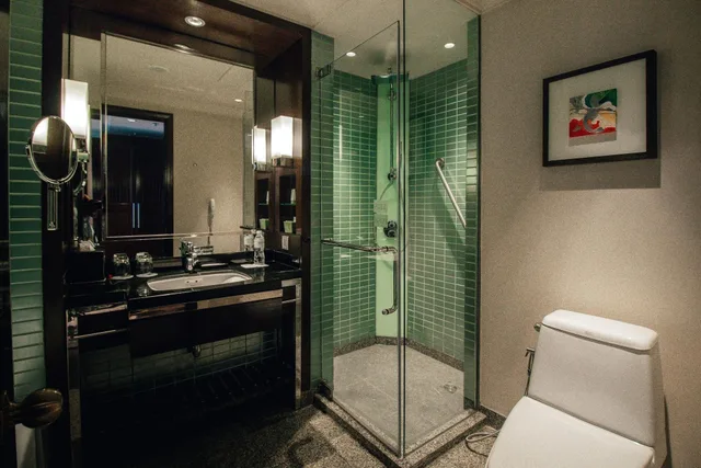 غرفة بريميوم بسرير مزدوج بإطلالة على المدينة، The Westin Grande Sukhumvit 9/10
