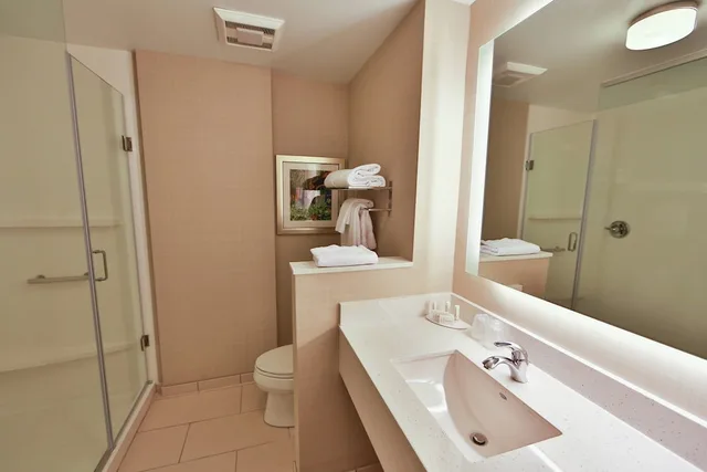 جناح تنفيذي بسرير كينج مع أريكة لذوي الإعاقة، Fairfield Inn And Suites Savannah Midtown 4/6