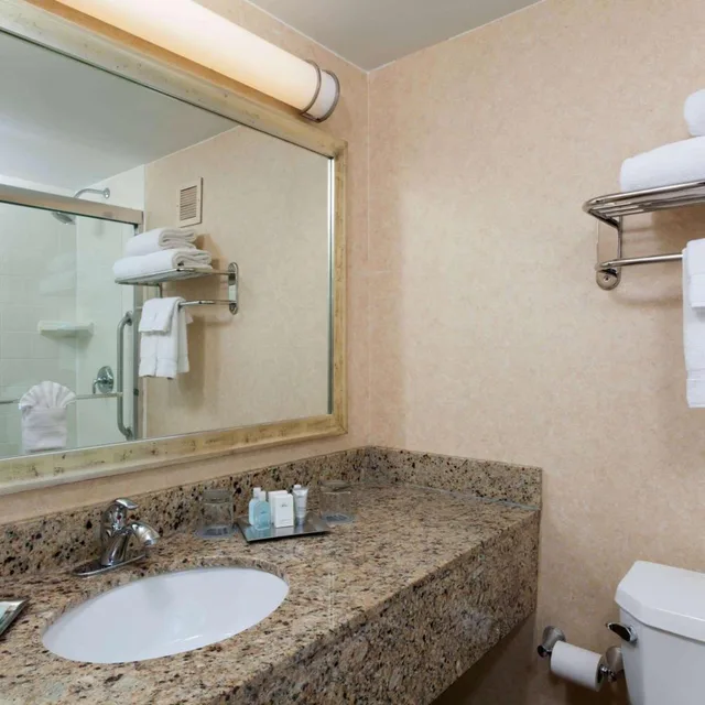 غرفة تنفيذية بسرير مزدوج، Wyndham Boston Beacon Hill 6/6