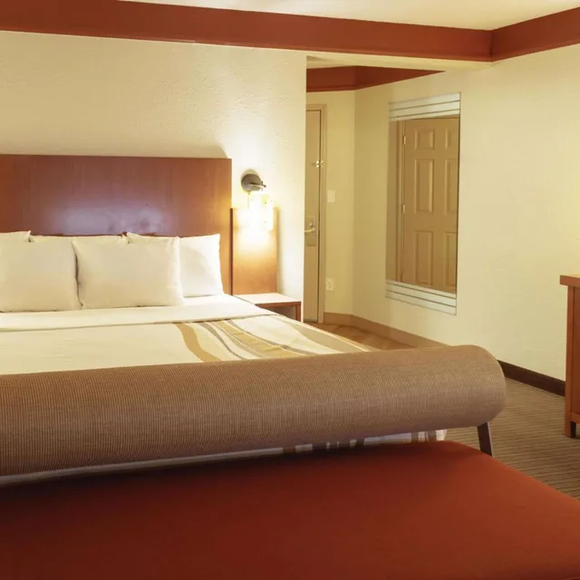 غرفة ديلوكس بسرير كينج، La Quinta Inn & Suites by Wyndham Atlanta Ballpark/Galleria 6/8