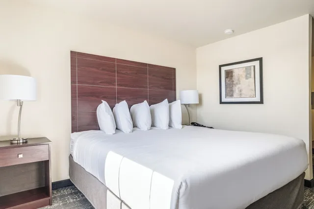 غرفة بسرير كينج لذوي الإعاقة، Cobblestone Hotel & Suites - Newport 5/8