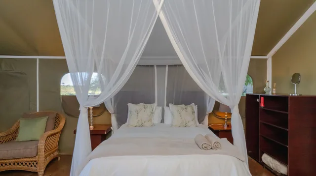 Safari, Tent, Queen Bed, Large، Crocodile Bridge Safari Lodge 1/5