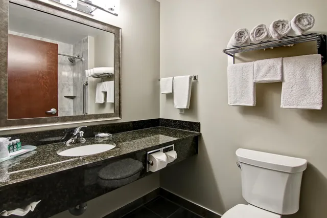 غرفة قياسية بسريرين كوين بمطبخ صغير، Best Western Brandon Inn 6/7
