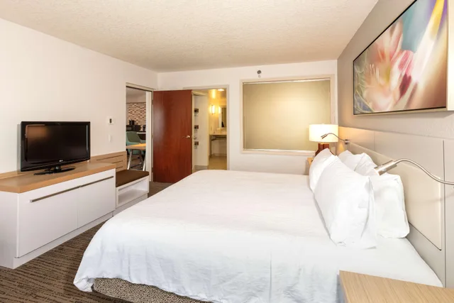 جناح ديلوكس بسرير كينج بغرفة نوم واحدة مع أريكة بحوض جاكوزي، Hilton Garden Inn Daytona Beach Airport 2/5