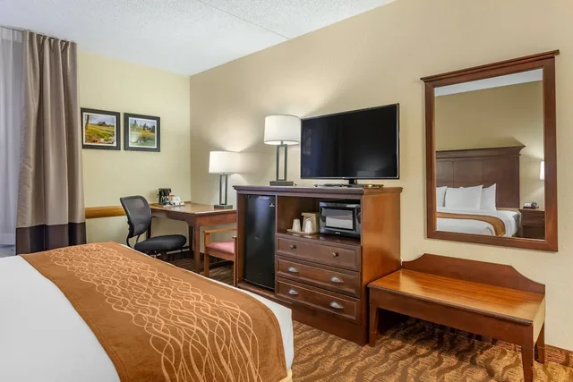 غرفة بسرير كينج بحوض استحمام لذوي الإعاقة، Comfort Inn and Suites Branson Meadows 6/10
