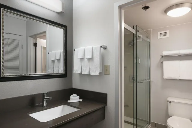 غرفة بسرير كينج بإطلالة على الفناء، Courtyard Dallas Las Colinas 5/7