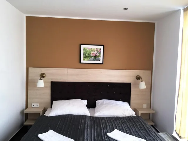 Room, Single, Hotel Denbu 10/17