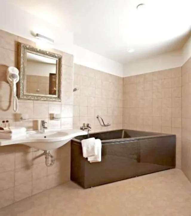 جناح جونيور بسرير كينج، Justus Hotel 5/5