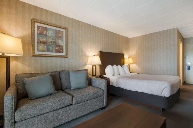 غرفة قياسية بسرير كينج مع أريكة، Best Western Brantford Hotel Conference Centre 3/6