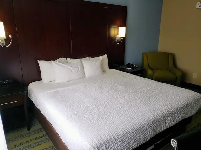 Standard, King Bed, Pet Friendly, Clarion Hotel Conference Center Lexington North 1/4