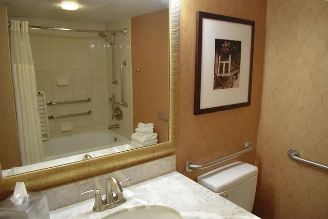 جناح بسرير كينج بغرفة نوم واحدة لذوي الإعاقة، DoubleTree by Hilton Hotel Asheville Biltmore 3/3