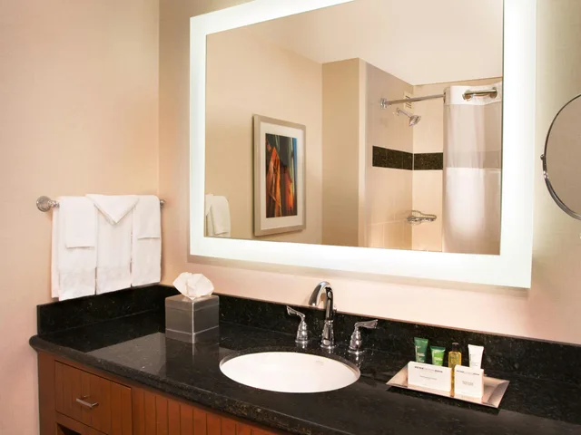 غرفة سوبيريور بسريرين مزدوجين، Hilton Minneapolis 2/2