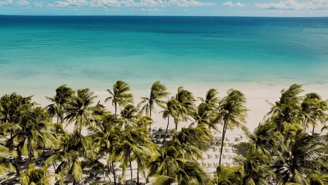Catalonia Royal Tulum - Adults only، بلايا ديل كارمن 66/72