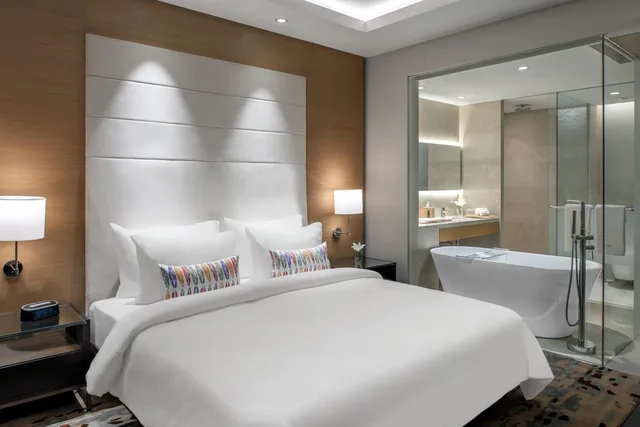غرفة بريميوم بسرير مزدوج، Feathers - A Radha Hotel Chennai 5/5