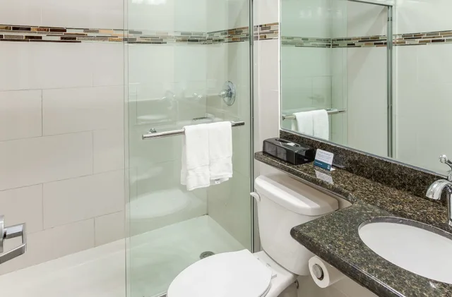 غرفة قياسية بسرير كينج، Quality Inn Near Sunset Park 3/3