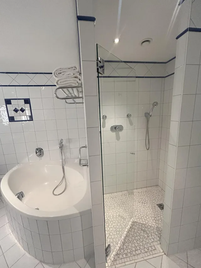 جناح فاخر، Vichy Celestins Spa Hotel 4/5