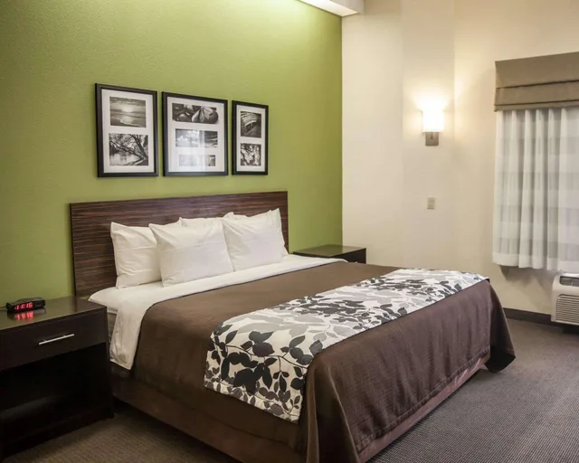 غرفة بسرير كينج، Sleep Inn and Suites Hagerstown 1/2
