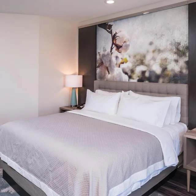 غرفة ديلوكس بسرير كينج لذوي الإعاقة، HOTEL INDIGO FRISCO 2/7