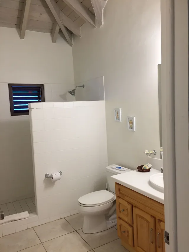 2 Bedrooms, Superior, Cottage, 2 King Beds, Beach Front، BUCCANEER BEACH CLUB 3/3