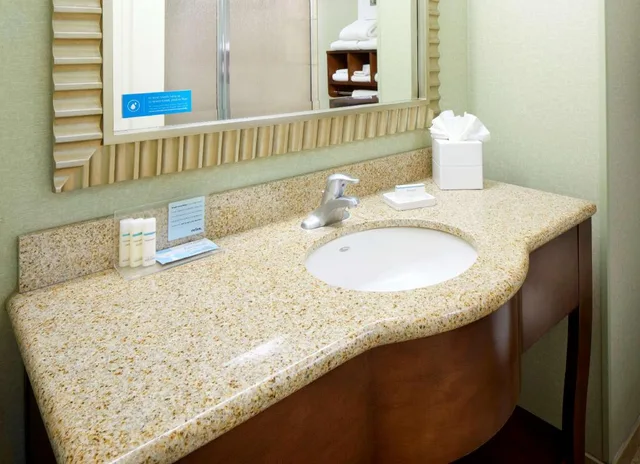Hospitality, Suite, King Bed, Sofa، Hampton Inn and Suites Savannah Midtown 1/3