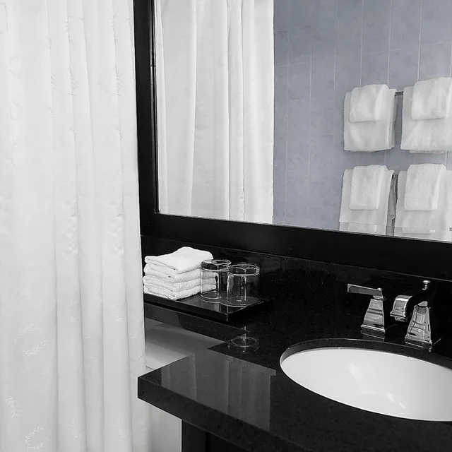 Guest Room, Queen Bed, Sheraton Fallsview Hotel 8/8
