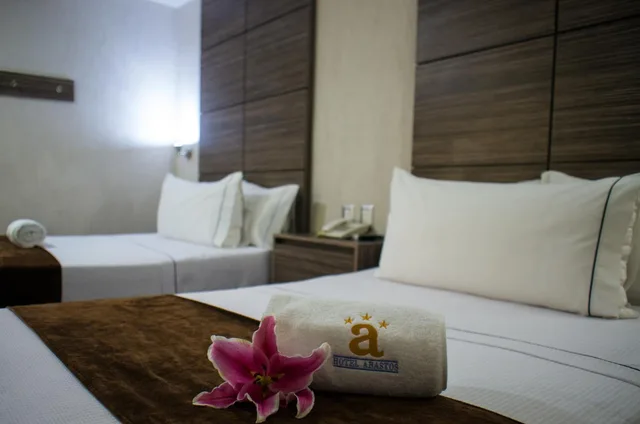 Room, Double Bed, Hotel Expo Abastos 9/10