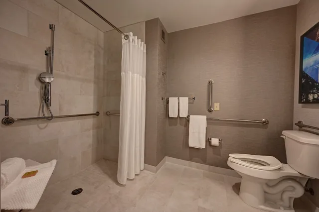 جناح بسرير كينج لذوي الإعاقة، DoubleTree by Hilton Denver International Airport (ex. Holiday Inn Hotel And Suites) 4/6