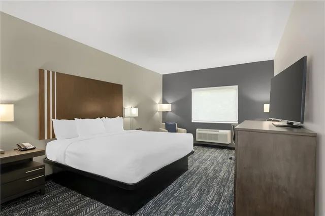 Room, King Bed, Best Western Plus Washington Hotel 2/3
