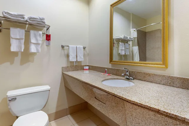 غرفة بسرير كينج للمدخنين، Econo Lodge Eutaw I-20 4/4