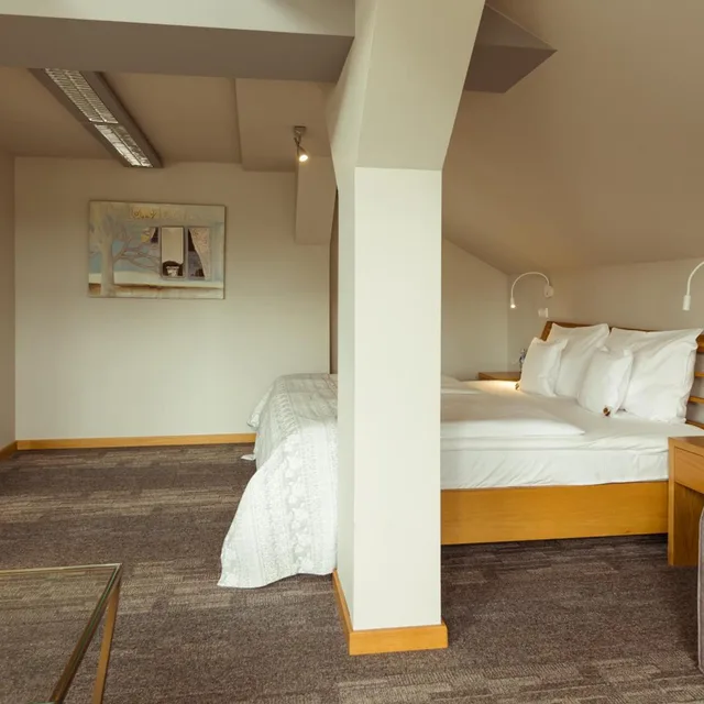 شقة بغرفة نوم واحدة، Promenade Hotel 2/5
