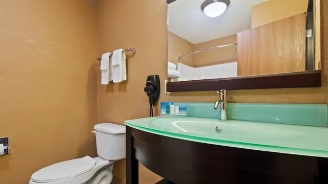 غرفة قياسية كبيرة بسرير كينج، Best Western Paducah Inn 6/6