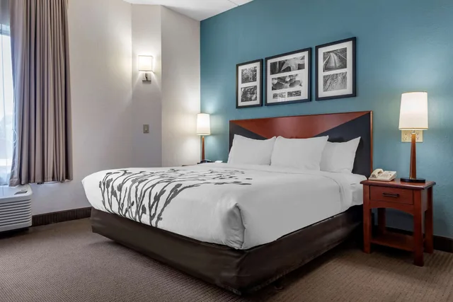 Standard, King Bed, Accessible, Sleep Inn Amherst - Buffalo North near University 1/3