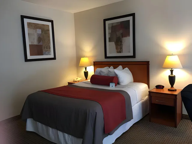 غرفة مفردة بسرير كوين، Mikado Hotel 1/1