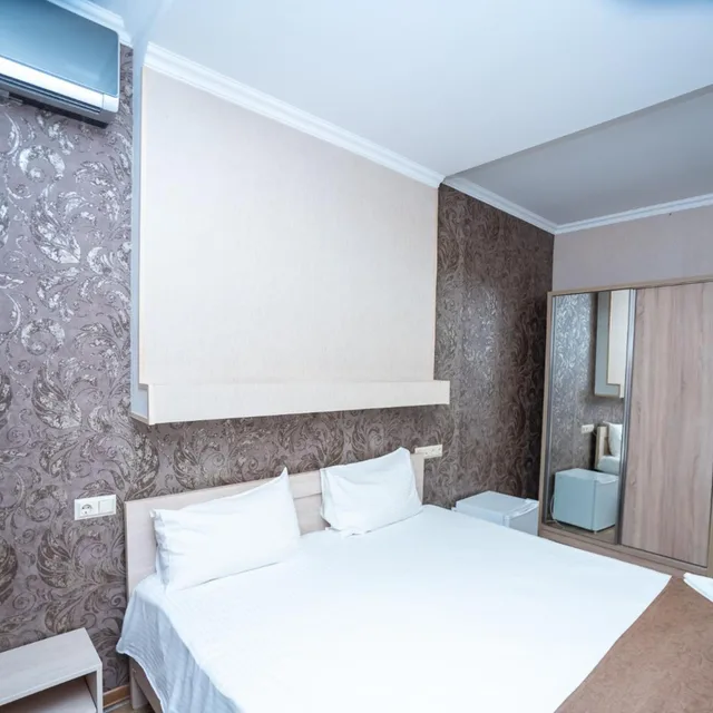 غرفة قياسية بسرير مزدوج، Tiflis Hotel 1/10