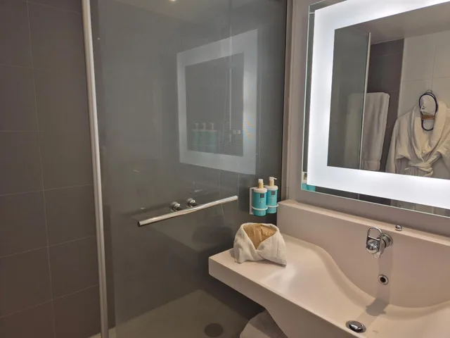 غرفة ديلوكس بسرير مزدوج، Novotel Bordeaux Centre 9/10