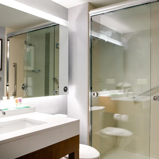 غرفة بسرير كينج مع أريكة لذوي الإعاقة، Hyatt Place Kansas City Lenexa City Center 1/1