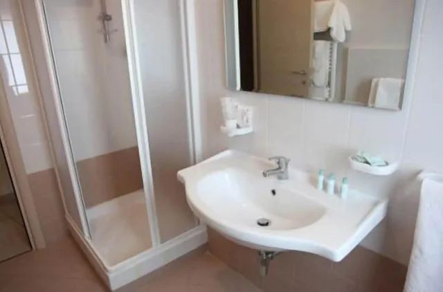 Room, Single, Queen Bed, Hotel San Luca 1/1
