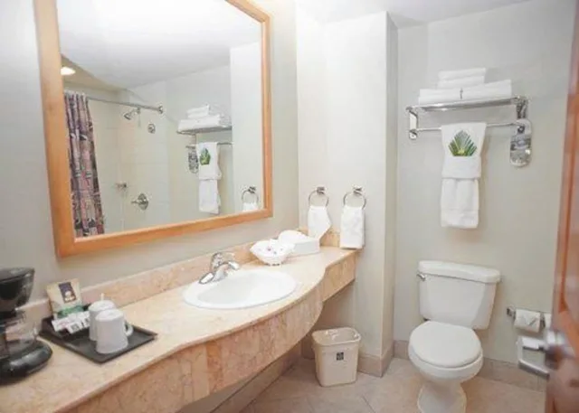 جناح بسرير كينج مع أريكة، Sleep Inn Hotel Paseo Las Damas 7/8