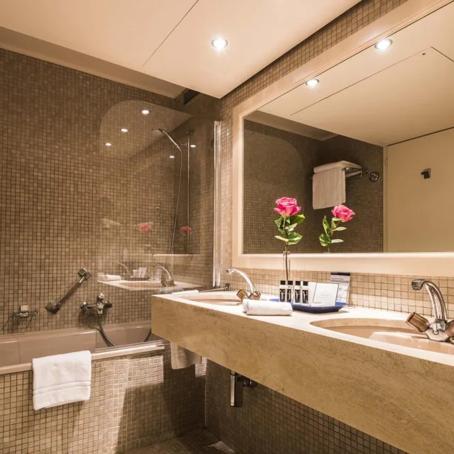 جناح جونيور بإطلالة على البحيرة بشرفة، Royal Plaza Montreux Hotel 2/2