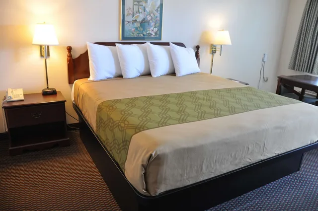 غرفة قياسية بسرير كينج لذوي الإعاقة، Surestay Hotel By Best Western Castro Valley 3/4