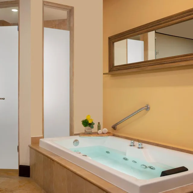 Premium, Deluxe, Double Bed, Plunge Pool, Jetted Tub، Dreams Riviera Cancun 6/6