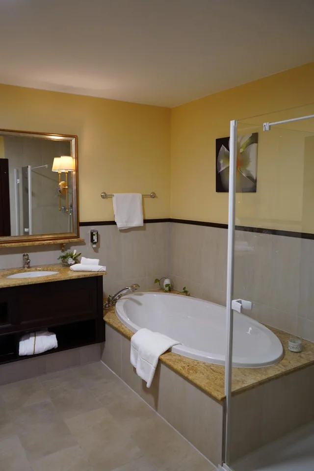 Royal, River, Suite, King Bed, Mountain View, Balcony، Grandhotel Lienz 8/8