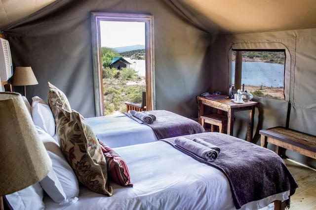 Luxury, Family, Double and Twin Beds, Buffelsdrift Game Lodge 7/10