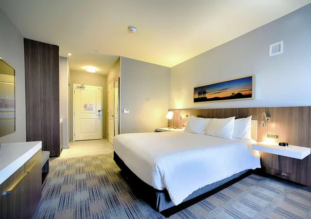 غرفة بسرير مزدوج بإطلالة على الجبل، Hilton Garden Inn Santa Barbara/Goleta 2/3