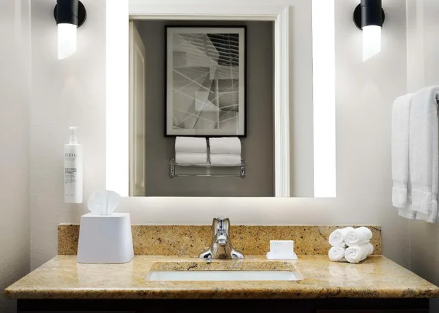 استوديو بريميوم بسرير كينج مع أريكة لذوي الإعاقة، Homewood Suites By Hilton Carle Place - Garden City Ny 9/9