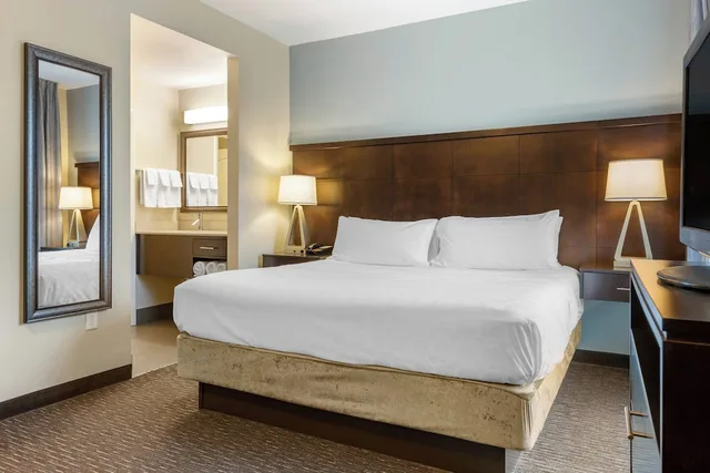 جناح بسرير كينج بغرفة نوم واحدة مع أريكة بمطبخ، Staybridge Suites St. Petersburg FL 1/4