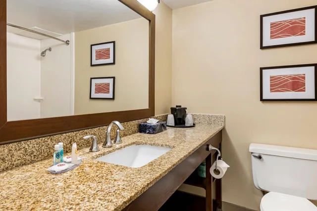 غرفة سوبيريور بسرير كينج، Comfort Inn MSP Airport - Mall Of America 3/4